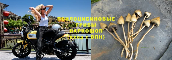 бутират Алексеевка