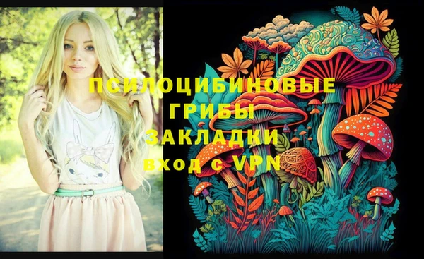 бутират Алексеевка
