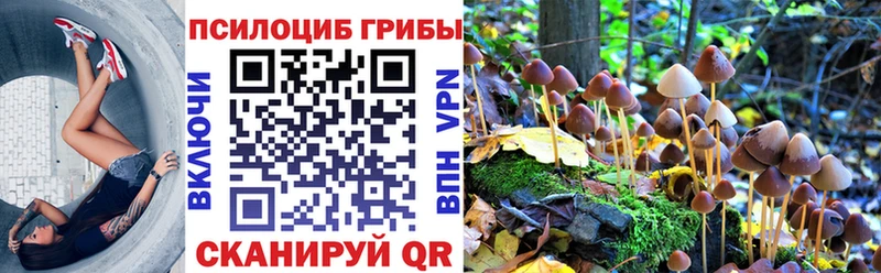 Галлюциногенные грибы Magic Shrooms  Бабаево 