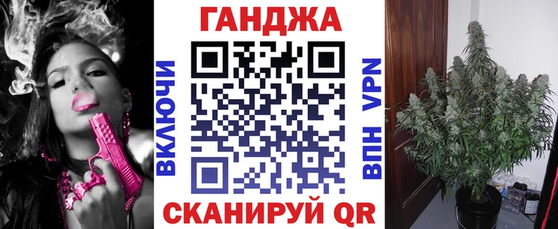 Бошки марихуана планчик  mega tor  Бабаево 